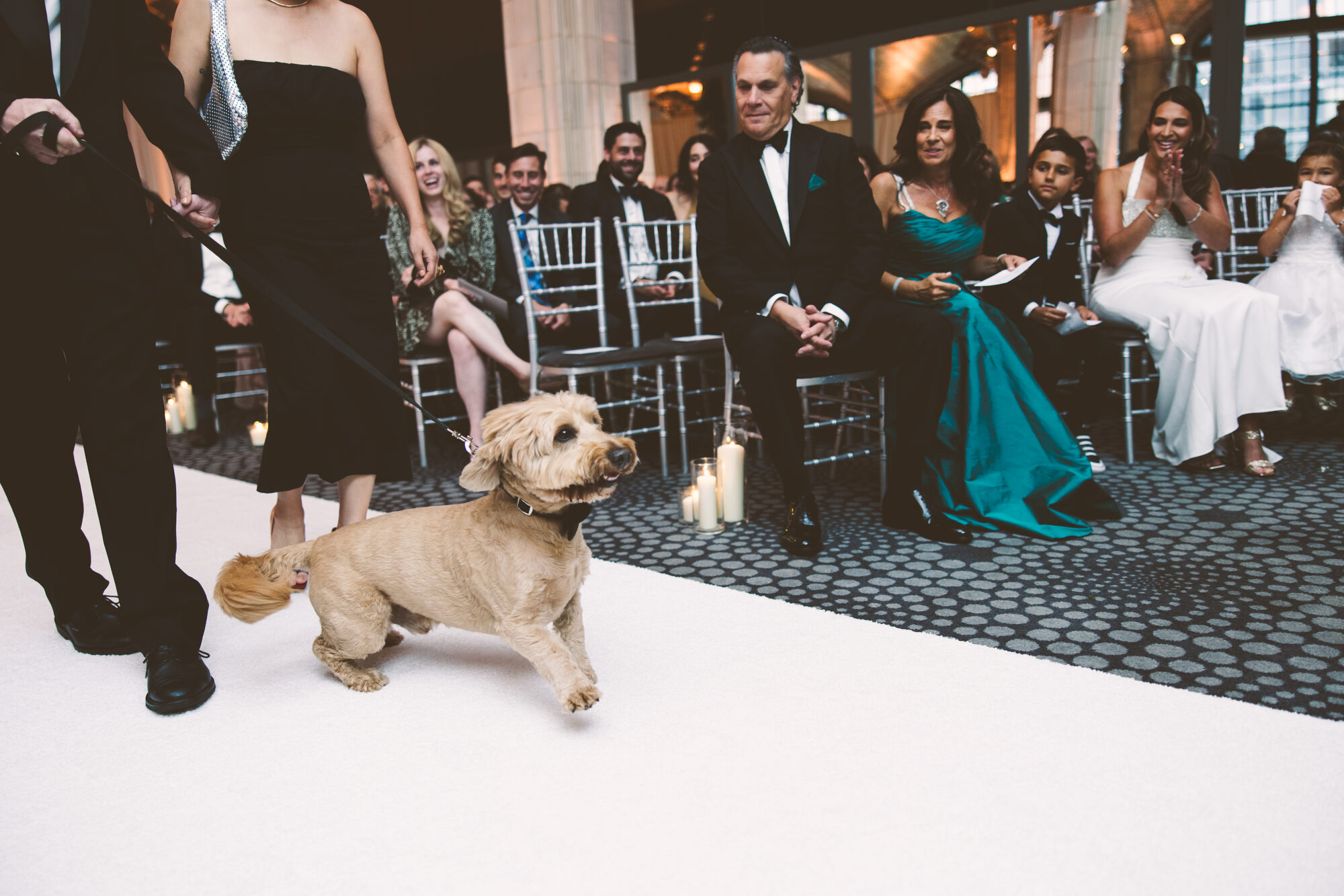 The couple's dog walking down the aisle at a Guastavino's wedding